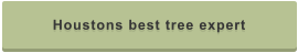 Houstons best tree expert